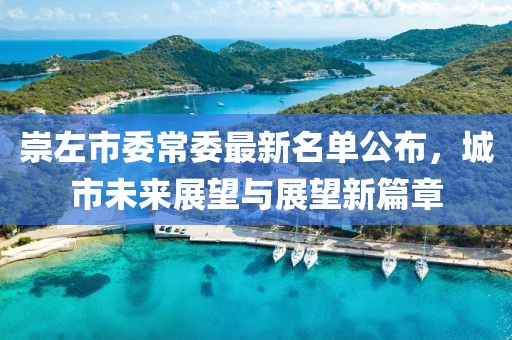 崇左市委常委最新名單公布，城市未來展望與展望新篇章
