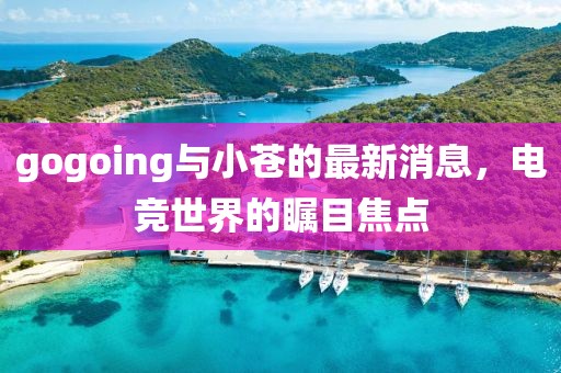 gogoing與小蒼的最新消息，電競(jìng)世界的矚目焦點(diǎn)