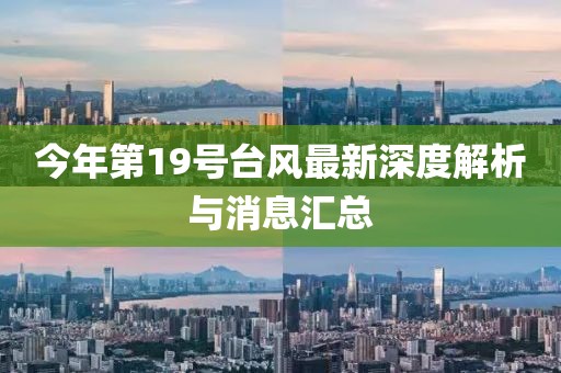 今年第19號臺風(fēng)最新深度解析與消息匯總