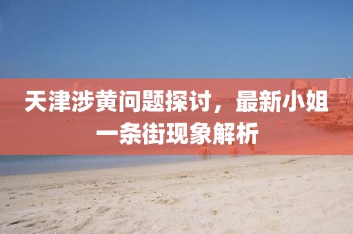 天津涉黃問題探討，最新小姐一條街現(xiàn)象解析