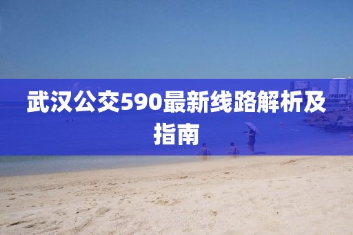 武漢公交590最新線路解析及指南