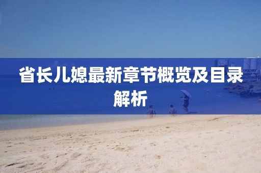 省長(zhǎng)兒媳最新章節(jié)概覽及目錄解析