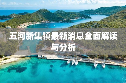 五河新集鎮(zhèn)最新消息全面解讀與分析