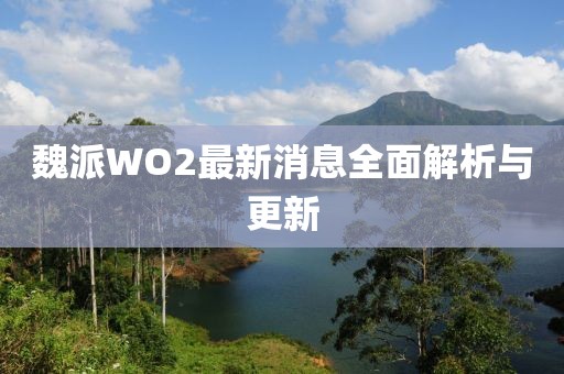魏派WO2最新消息全面解析與更新