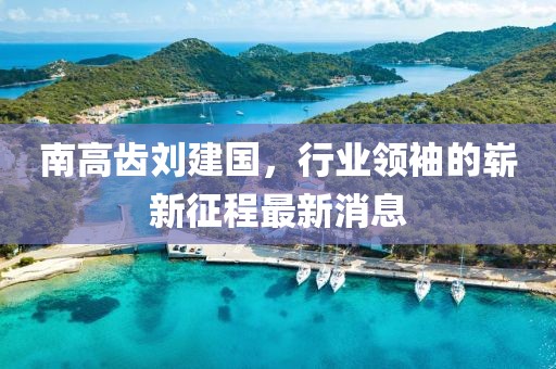 南高齒劉建國，行業(yè)領(lǐng)袖的嶄新征程最新消息