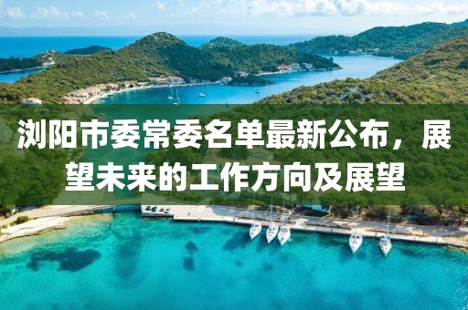 瀏陽市委常委名單最新公布，展望未來的工作方向及展望