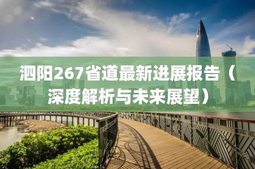 泗陽267省道最新進(jìn)展報告（深度解析與未來展望）