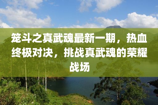 籠斗之真武魂最新一期，熱血終極對(duì)決，挑戰(zhàn)真武魂的榮耀戰(zhàn)場(chǎng)
