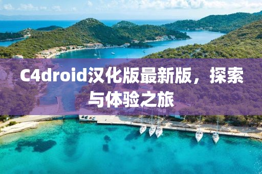 C4droid漢化版最新版，探索與體驗(yàn)之旅