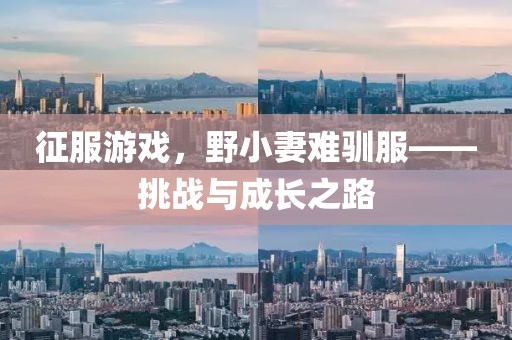 征服游戲，野小妻難馴服——挑戰(zhàn)與成長(zhǎng)之路