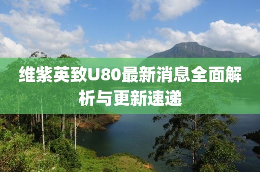 維紫英致U80最新消息全面解析與更新速遞