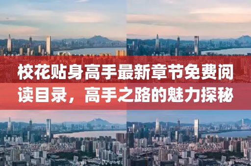 校花貼身高手最新章節(jié)免費閱讀目錄，高手之路的魅力探秘