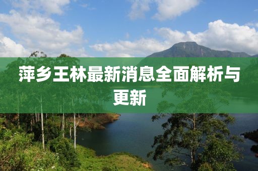 萍鄉(xiāng)王林最新消息全面解析與更新