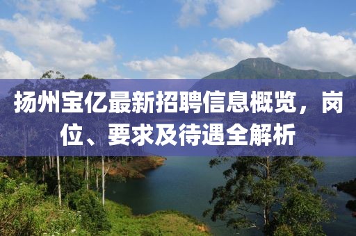 揚州寶億最新招聘信息概覽，崗位、要求及待遇全解析