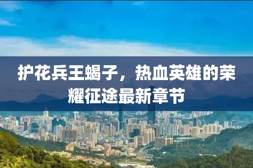 護(hù)花兵王蝎子，熱血英雄的榮耀征途最新章節(jié)