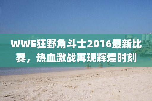 WWE狂野角斗士2016最新比賽，熱血激戰(zhàn)再現(xiàn)輝煌時刻