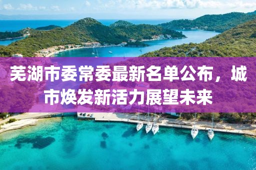 蕪湖市委常委最新名單公布，城市煥發(fā)新活力展望未來(lái)