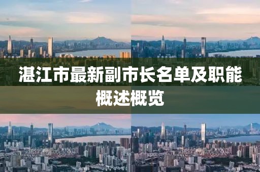 湛江市最新副市長名單及職能概述概覽