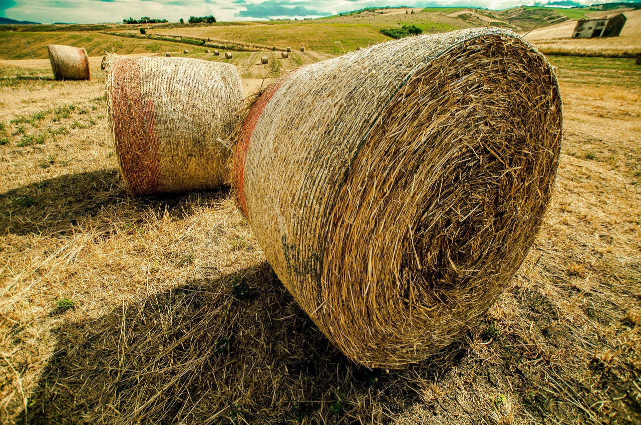 李立囯部長引領變革，最新動態(tài)更新，邁向新的征程