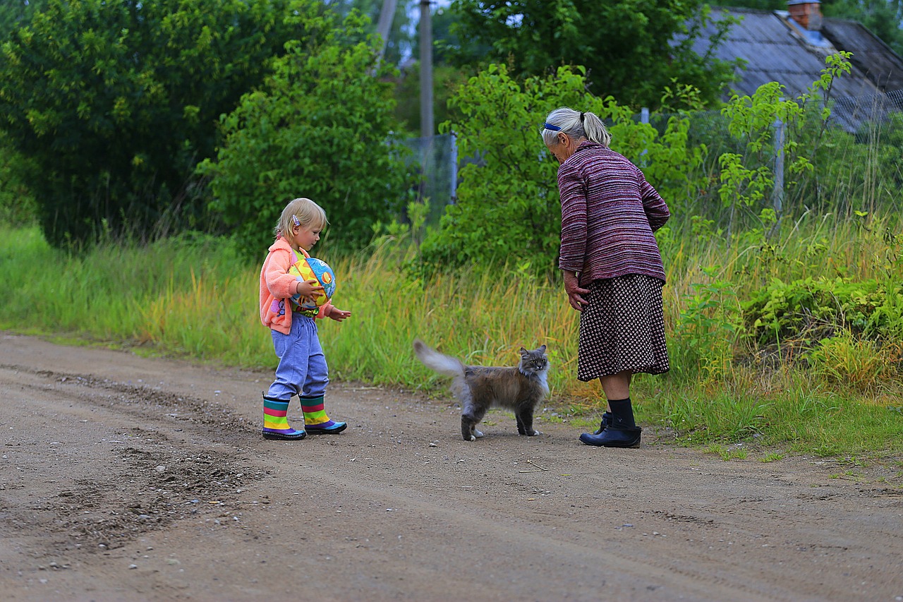 最新農(nóng)村愛情電視劇，鄉(xiāng)村生活的浪漫與真實(shí)之旅