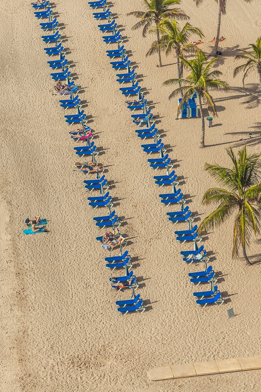 迷你世界最新版，探索與體驗之旅