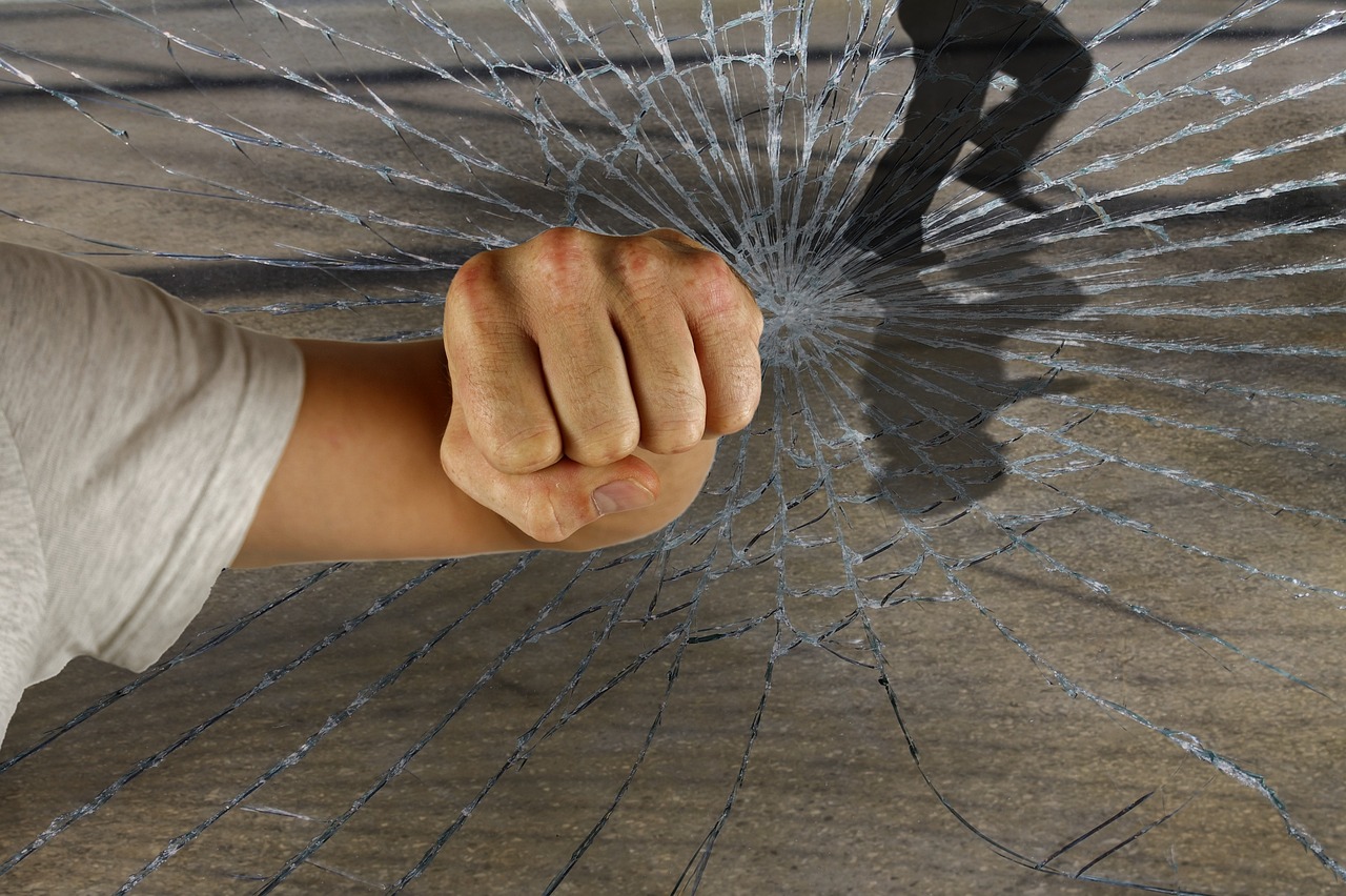 龍的世界最新破解版，警示違法犯罪的虛擬世界風(fēng)險(xiǎn)揭秘