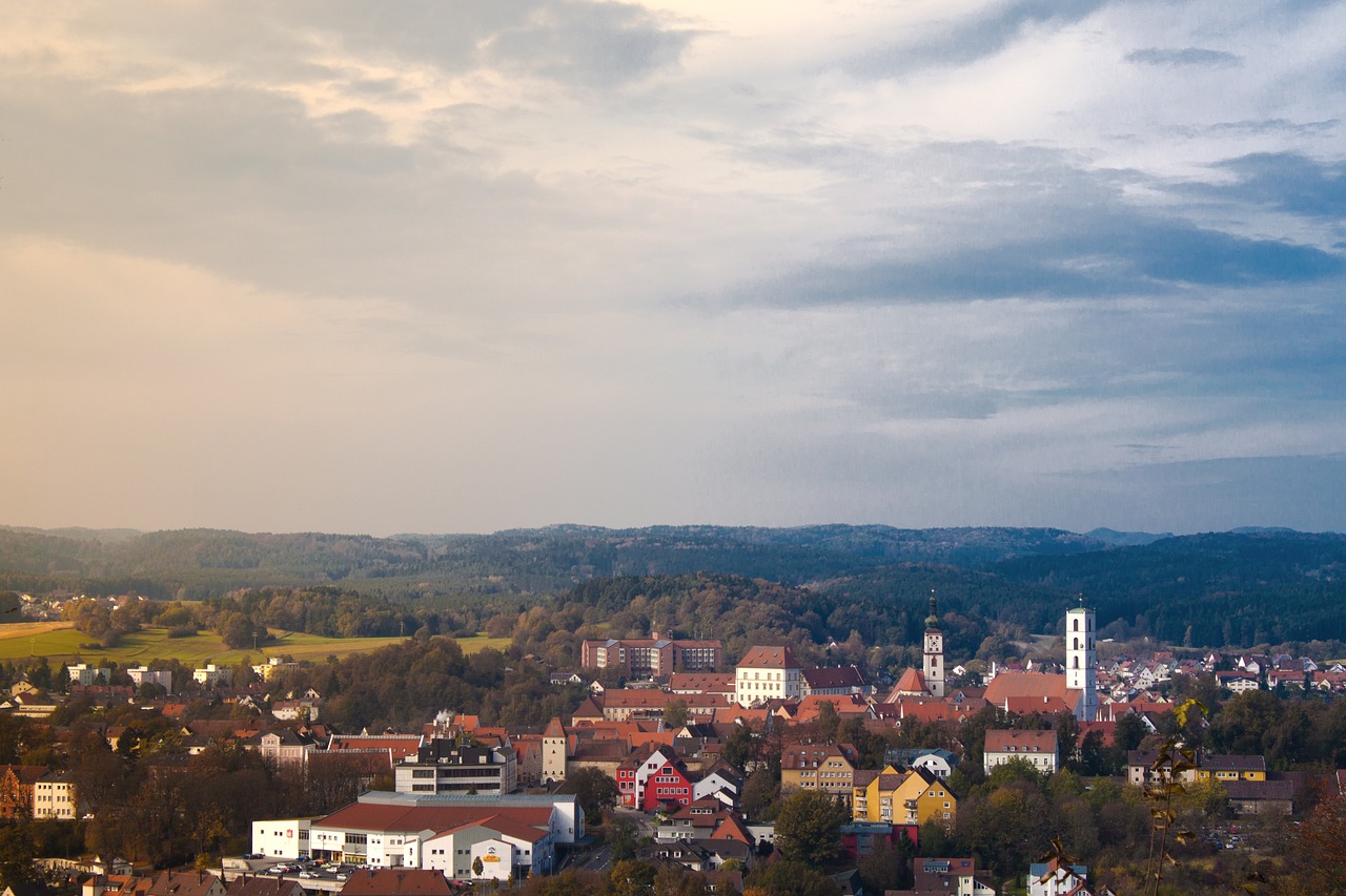 龍泉市最新人事任免動態(tài)更新