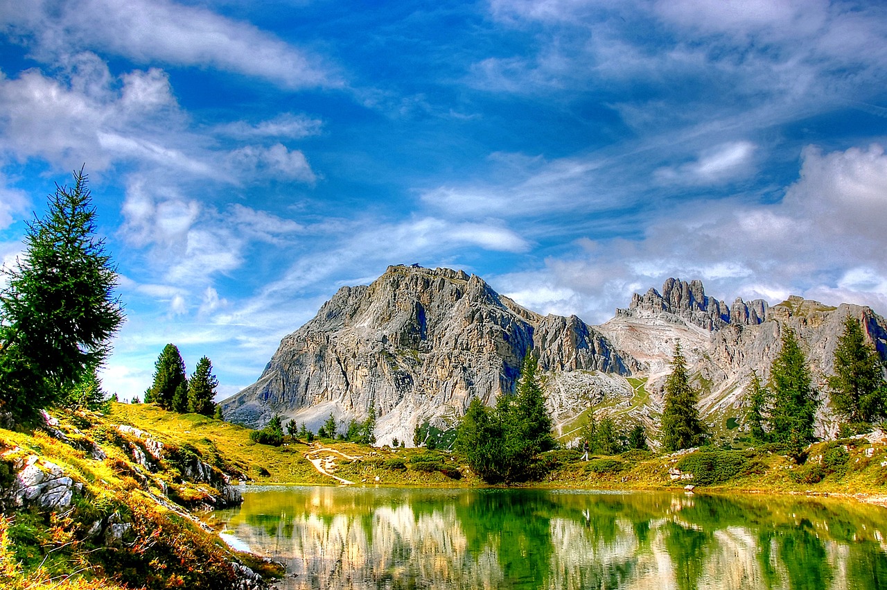 大連東北特鋼最新動態(tài)解析，全面關(guān)注最新消息