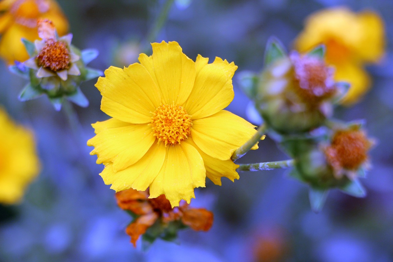 范冰冰最新動態(tài)，閃耀全球的巨星風(fēng)采依舊