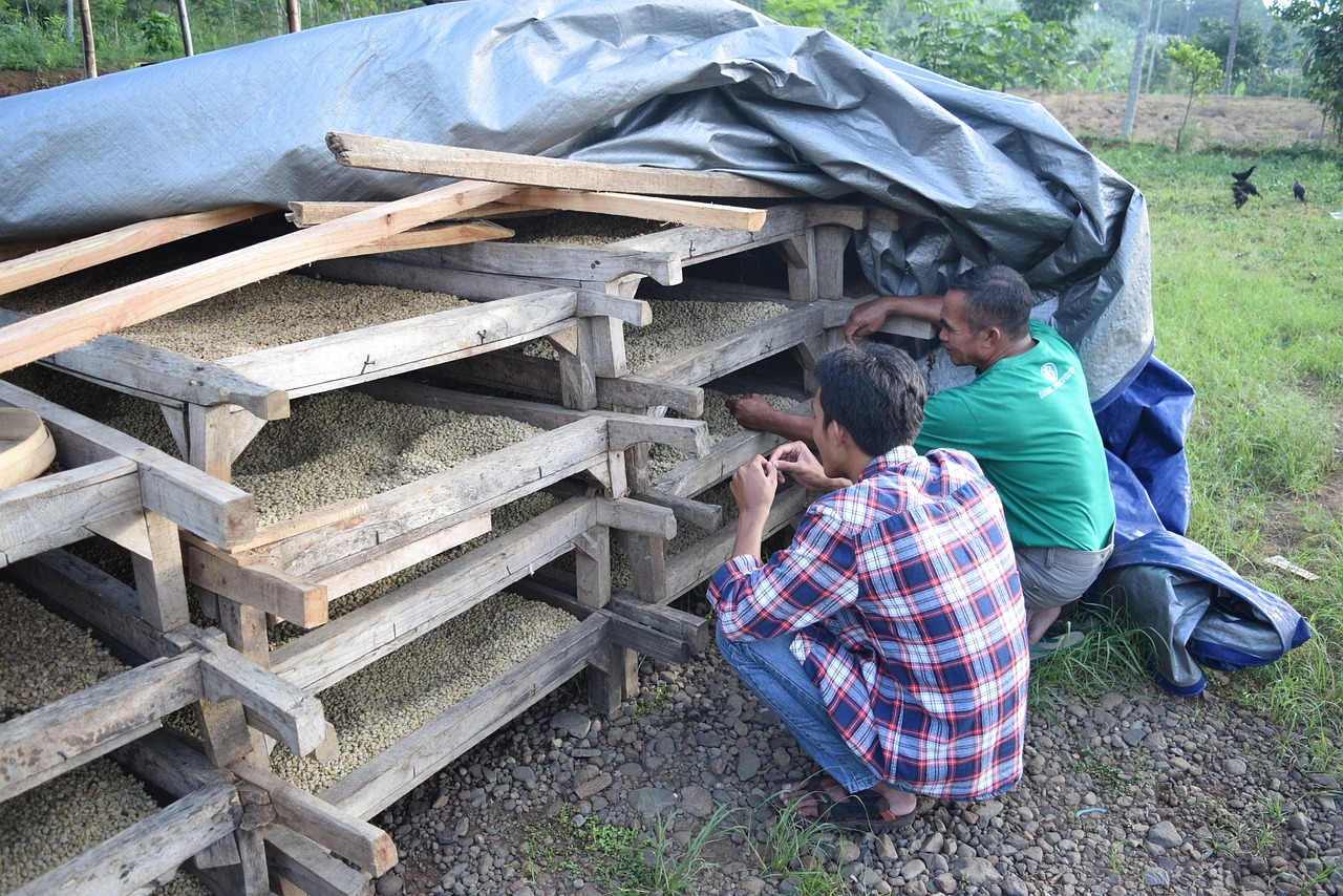 溧水土拍最新動態(tài)，市場動向及未來發(fā)展展望