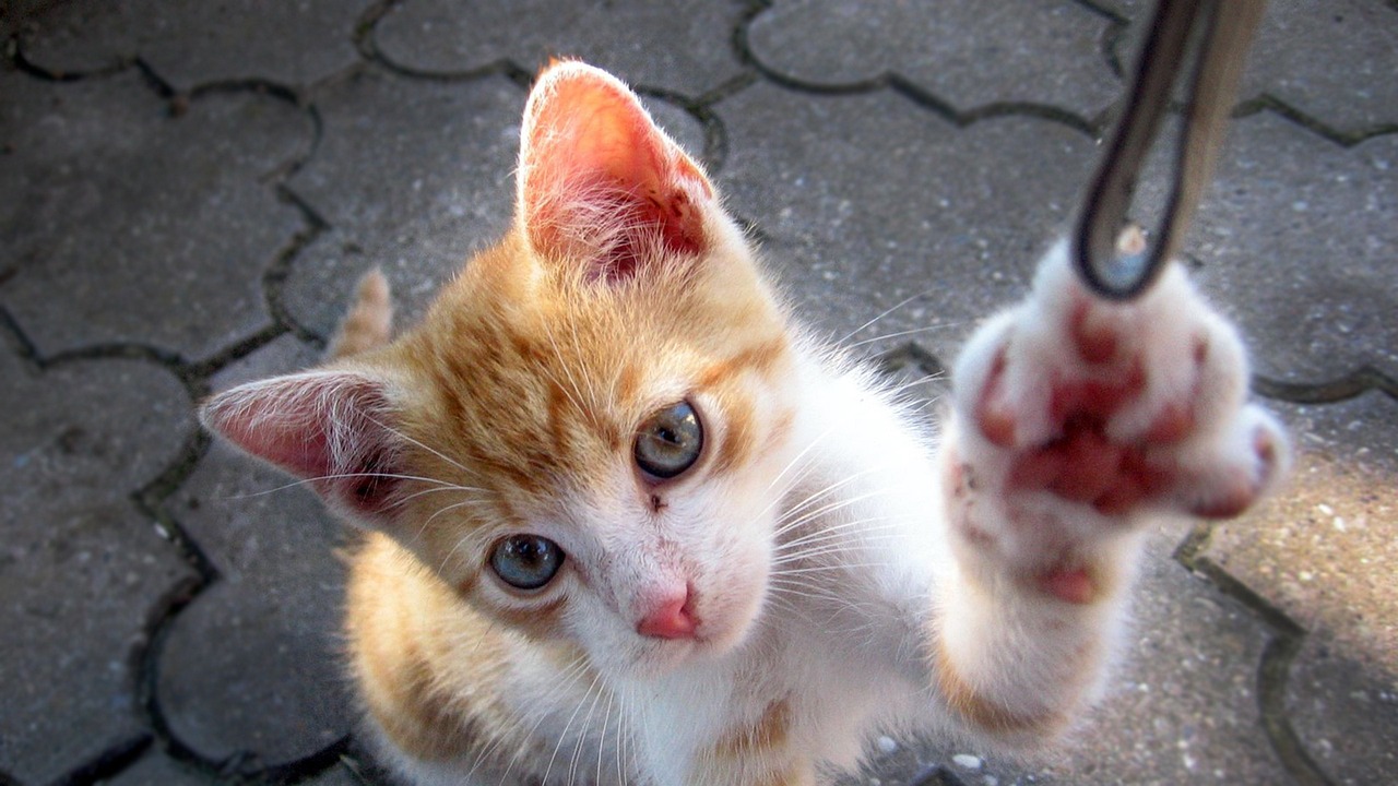 山大搬遷最新動態(tài)，邁向新征程，開啟新篇章