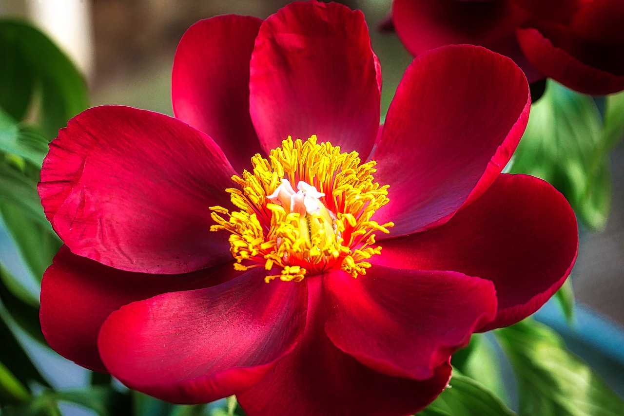 退休交醫(yī)保政策最新動(dòng)態(tài)，調(diào)整、展望與未來趨勢(shì)