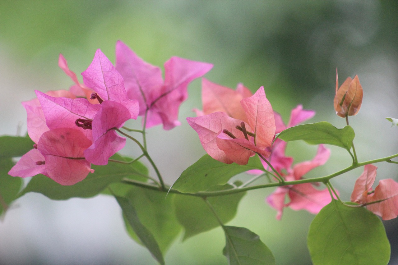 2024年12月 第447頁(yè)