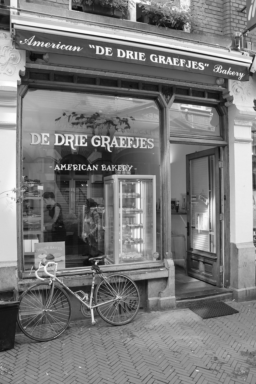 鳳翔湖濱世紀(jì)最新動(dòng)態(tài)，成為城市發(fā)展的璀璨明珠