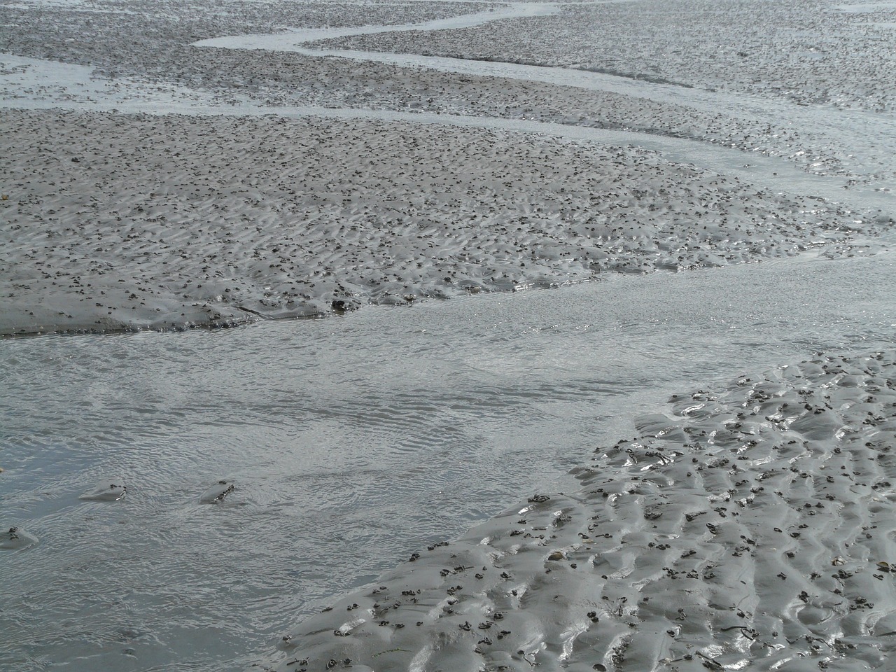 北海傳銷最新動(dòng)態(tài)曝光，真相揭秘與風(fēng)險(xiǎn)警惕