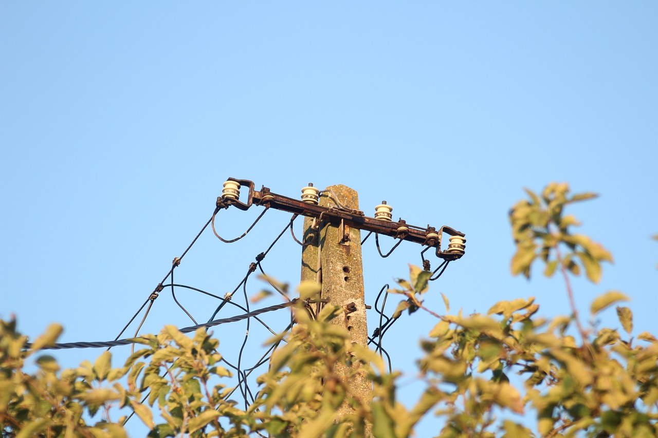 臨海嶺根村最新動(dòng)態(tài)更新