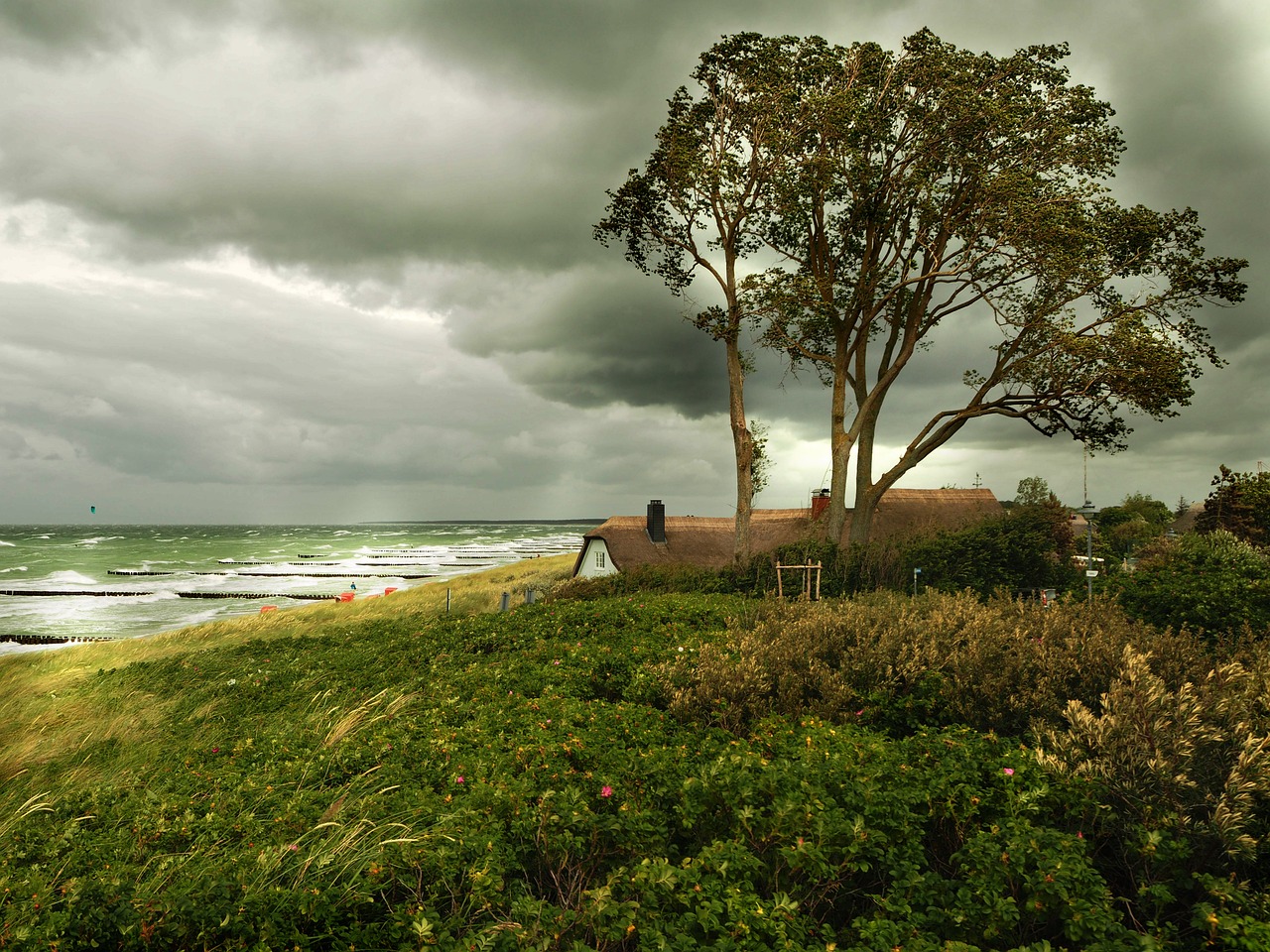 2024年12月 第86頁(yè)