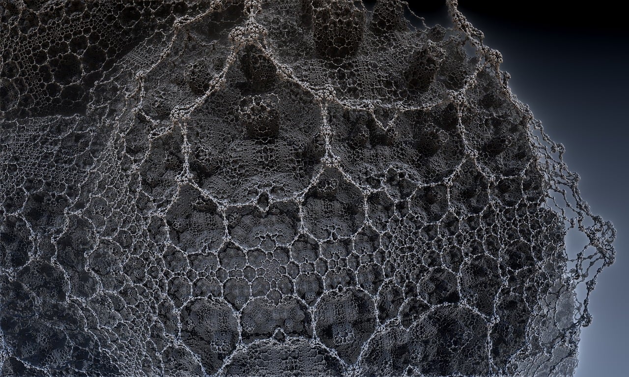 湛江李昌梧最新動態(tài)，傳奇人物的嶄新篇章