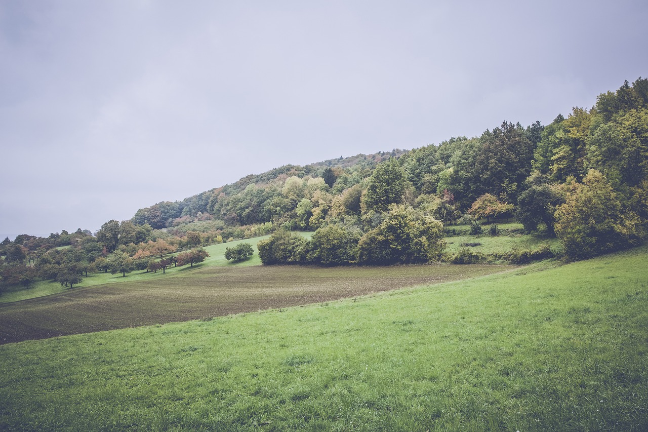 上港孫祥最新動態(tài)及未來展望，賽場內外的關注焦點