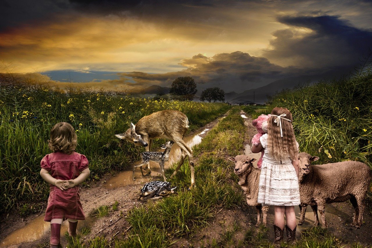 逍遙派最新章節(jié)，奇幻之旅探尋神秘世界