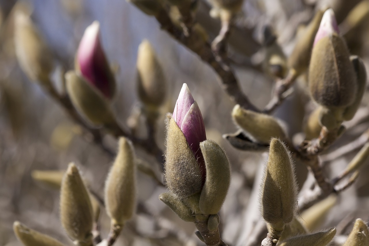 泗陽高鐵最新進(jìn)展報(bào)告更新，最新動(dòng)態(tài)揭秘！