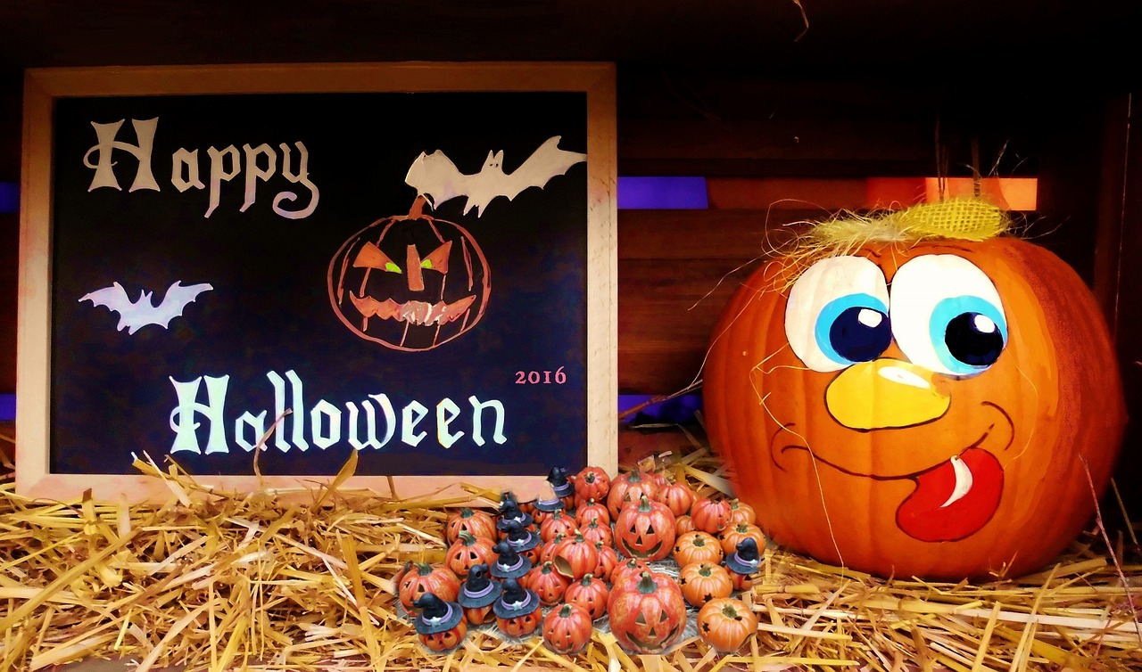 營山?？堊钚聞討B(tài)揭秘，探尋最新消息，揭開神秘面紗