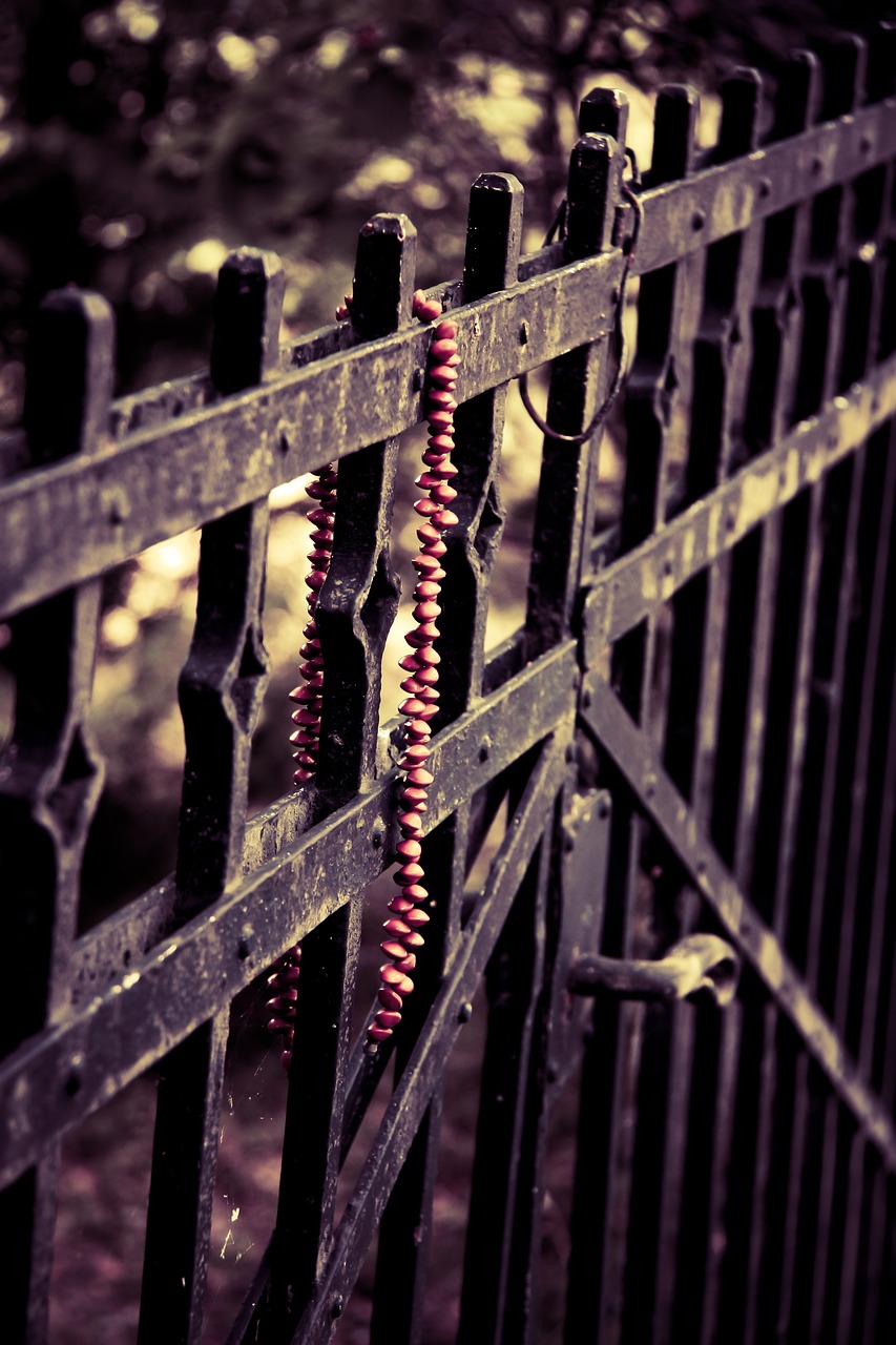 稀有金屬隕石最新探索，宇宙神秘禮物的最新消息