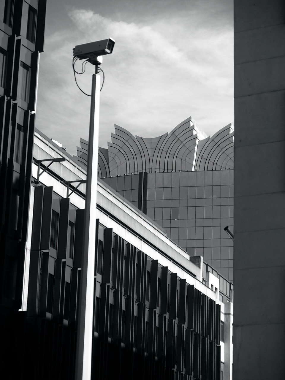 壽縣迎河鎮(zhèn)最新消息概覽，動態(tài)更新與資訊一覽