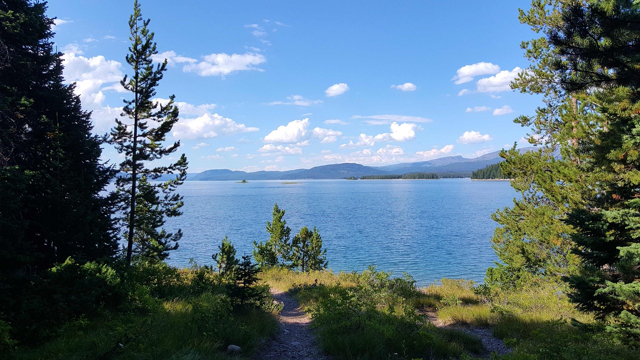 青娛樂最新地址探尋之旅，探索最新動(dòng)態(tài)與娛樂盛宴的門戶