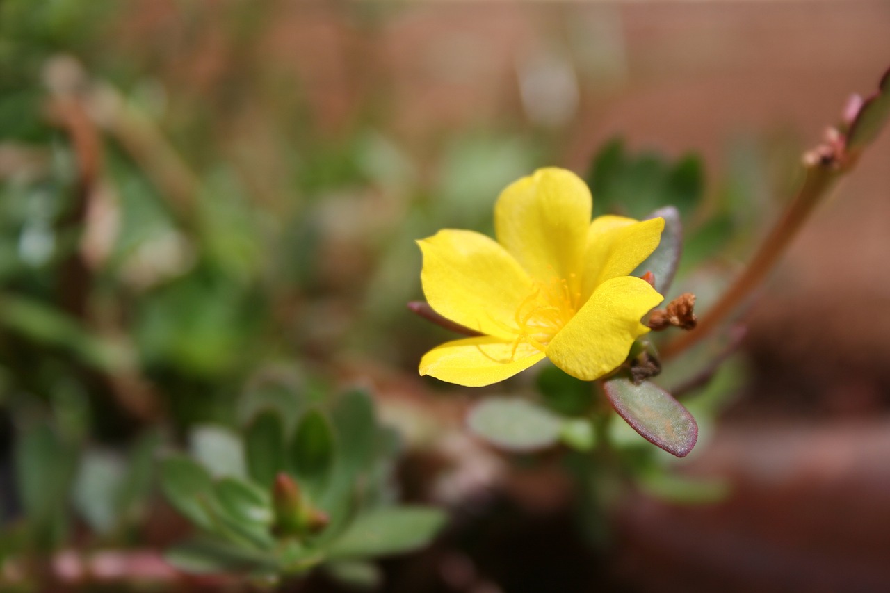 威海泊于水庫(kù)最新動(dòng)態(tài)，進(jìn)展、影響與展望