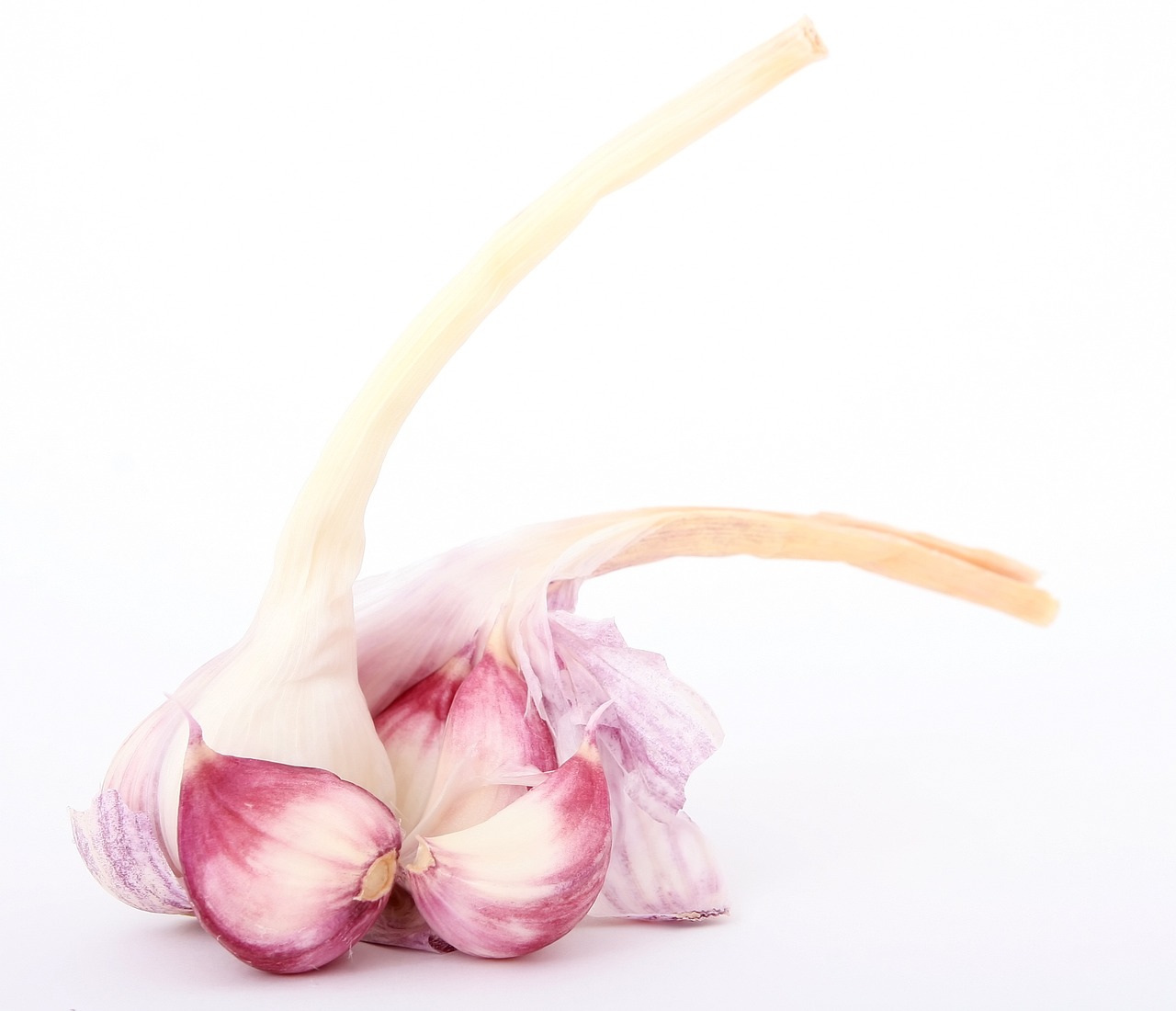 香兒最新廣場舞雙人舞，舞動生活的優(yōu)美旋律