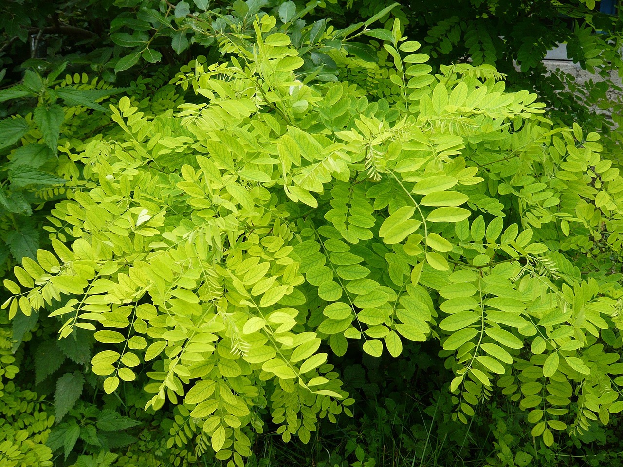 2025年1月 第273頁