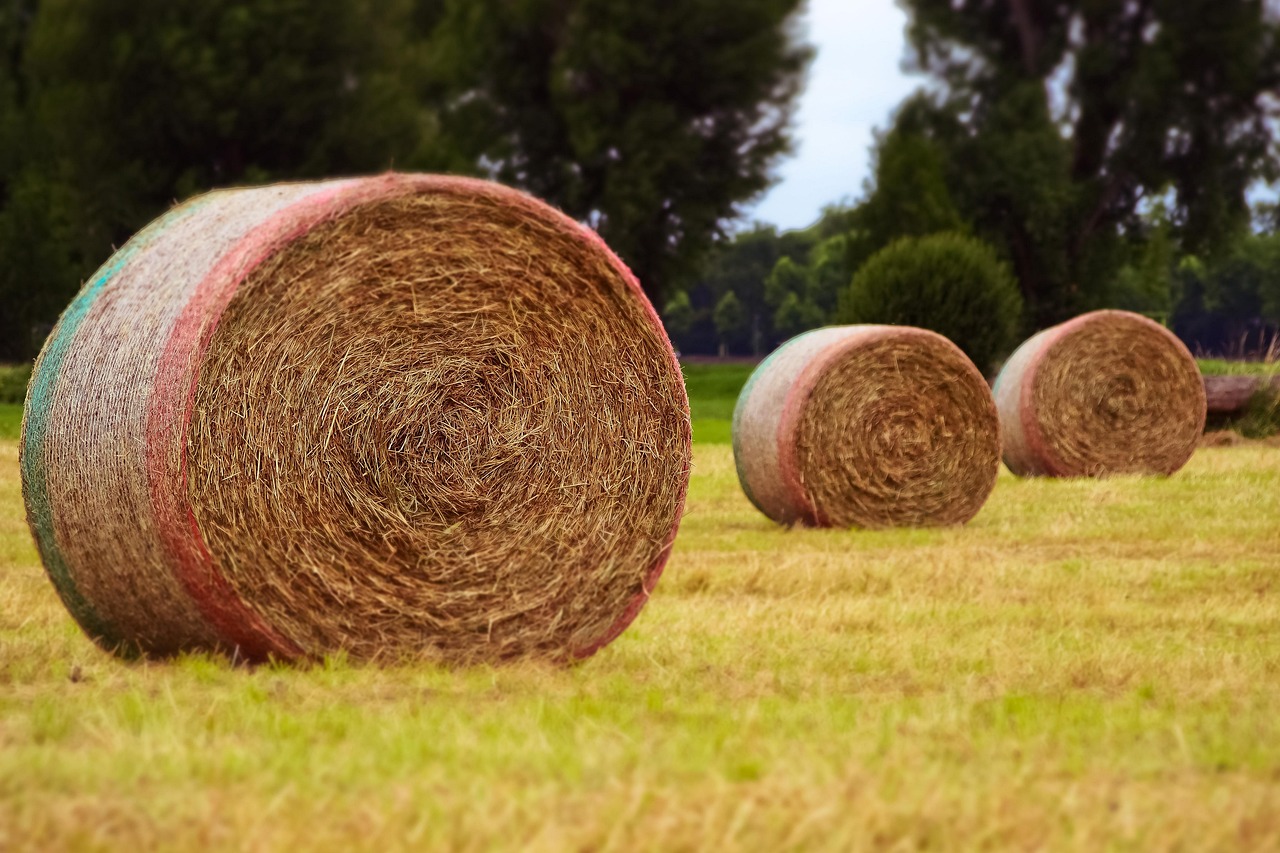 威寧貼吧網最新消息綜述，一網打盡最新動態(tài)