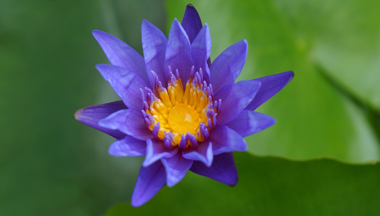 2025年1月 第117頁